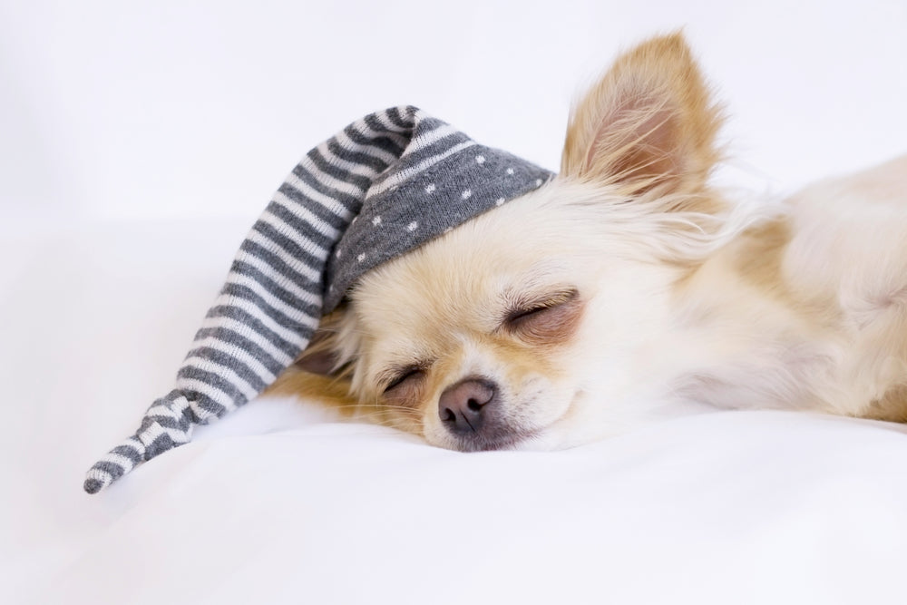 ナイトキャップを徹底解説！睡眠中に効果的なヘアケアを！